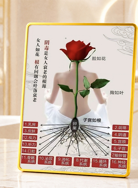 女性私密卵巢子宫养护科普摆件
