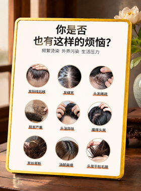 养发馆头发烦恼问题宣传展示摆件门店桌面装饰摆台