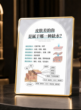 肌肤分层缺水补水修护科普摆件
