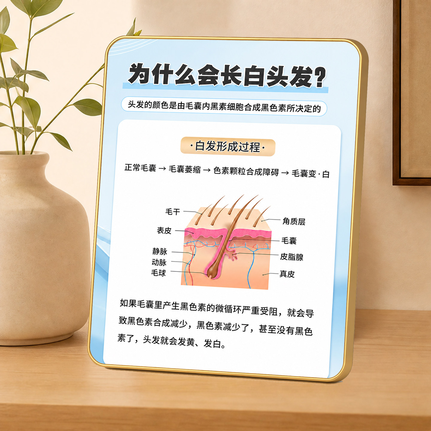 轻奢金边白头发知识科普装饰摆件养发馆理发店桌面展示牌