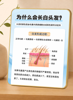 轻奢金边白头发知识科普装饰摆件养发馆理发店桌面展示牌