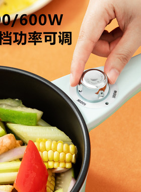 宿舍学生电煮锅多功能家用煮面神器火锅小型迷你一人食小功率单人