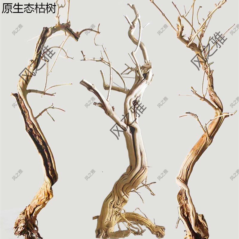 树枝装饰干枝干树枝干树干造型树原木金银花枯树木定制造景干树枝