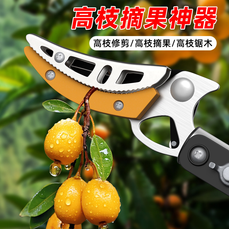 高枝剪摘果神器伸缩杆摘水果采摘枇杷高空剪果树修剪树枝专用剪刀图片