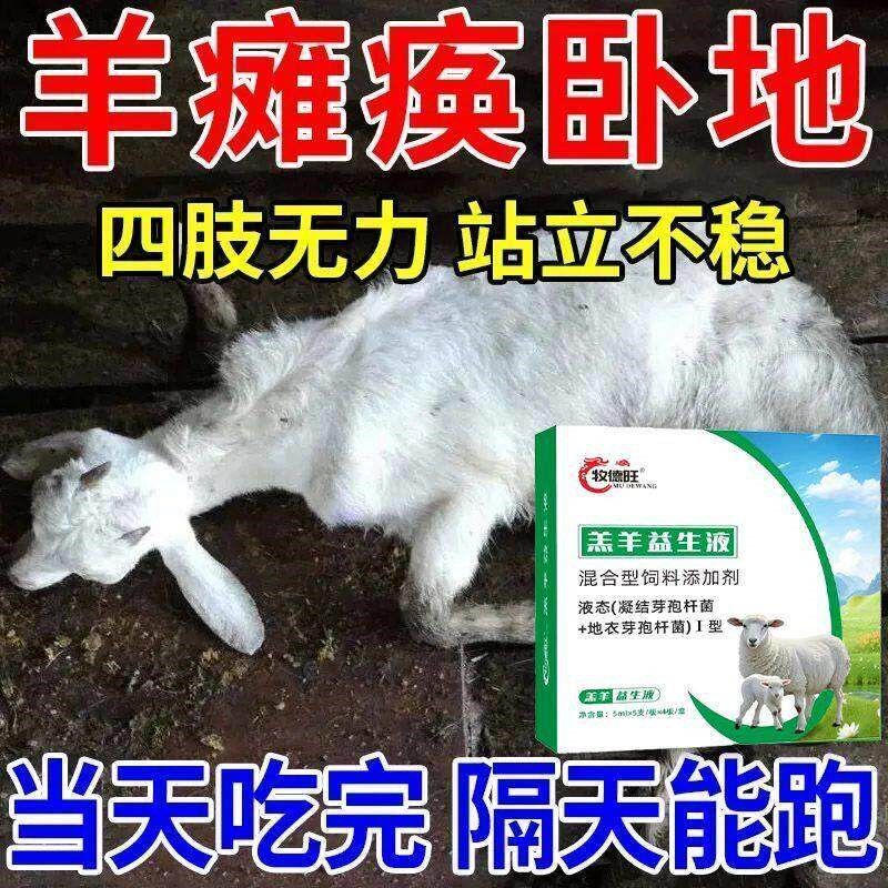 小羊羔保护液瘫软无力卧底不起拉稀腹泻牛犊羔羊母畜产前产後瘫痪