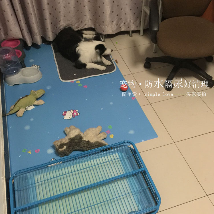 可吸尘家用定制门前地垫 小狗宠物垫子 客厅阳台防水防潮地板保护