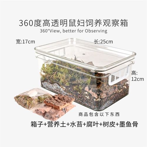 鼠妇饲养盒饲养箱西瓜虫饲养盒昆虫饲养箱亚克力饲养箱潮虫饲养盒