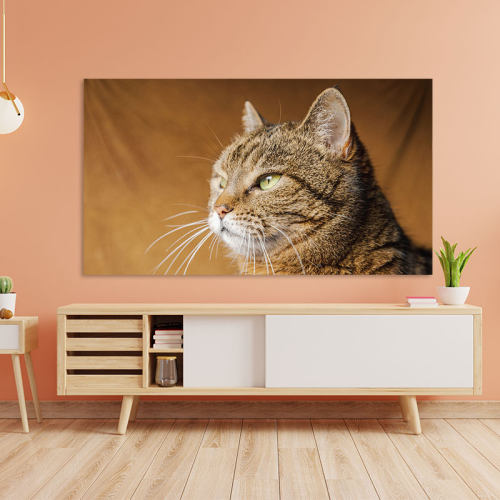 2024新款猫咪电视罩防尘罩套电视机罩电视套防尘套55寸86电视布盖