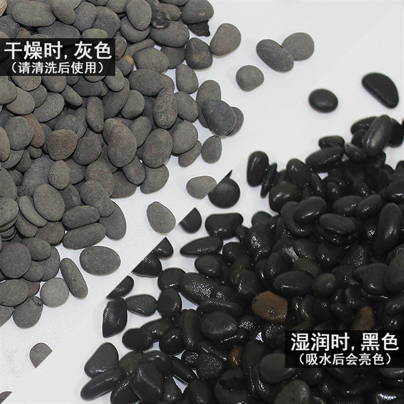 乌龟缸底砂小石子鱼缸造景布景底石头垫材黑色天然底沙水族箱沙石