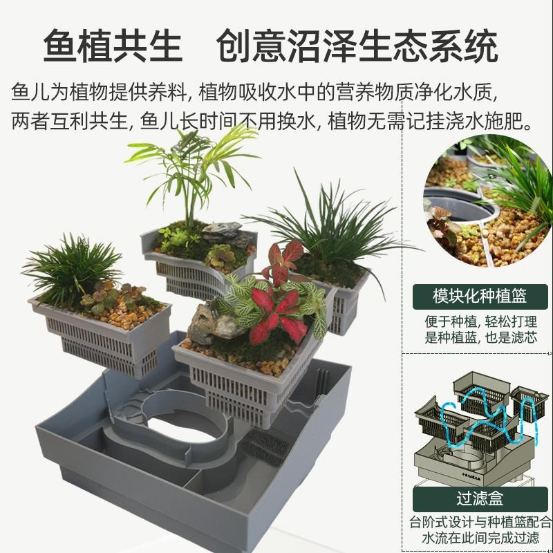 上部沼泽过滤斗鱼缸桌面生态自循环办公桌书桌水培植物造景小鱼缸