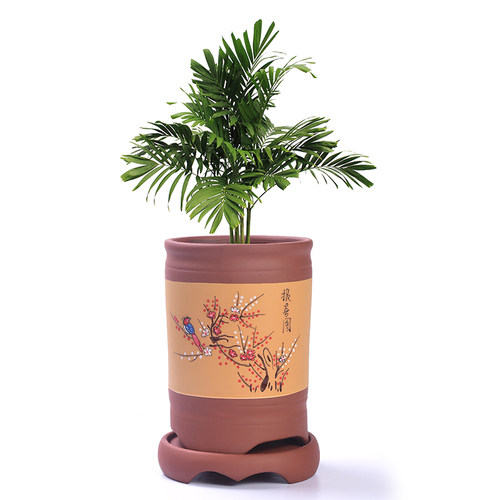 紫砂兰花陶瓷花盆特大号家用绿植吊兰盆景君子兰圆形复古造景盆栽