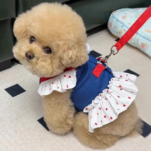 狗狗衣服牛仔卡通牵引裙宠物胸背猫咪公主裙薄款泰迪小型犬防掉毛