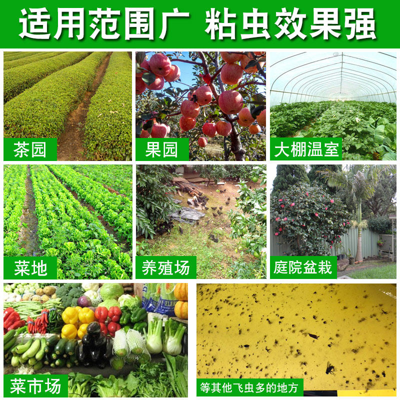 粘虫板黄板诱虫板纸贴双面黄色沾黏蚊子杀黑虫胶灭小飞虫果蝇大棚