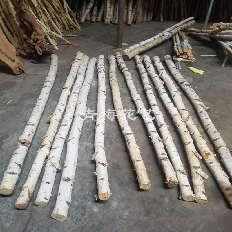 天然白桦树装饰树杆白桦树干桦木原木段树枝树杈枯树婚庆橱窗隔断