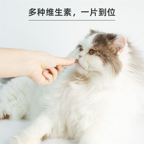 唯特医生宠物维生素猫咪狗狗复合补充剂美毛维b族维特医生维生素