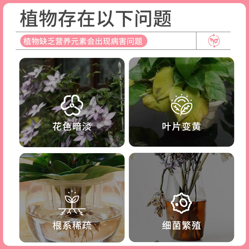 百花泉鲜花保鲜剂花卉水培绿植物富贵竹专用通用型营养液船长花园