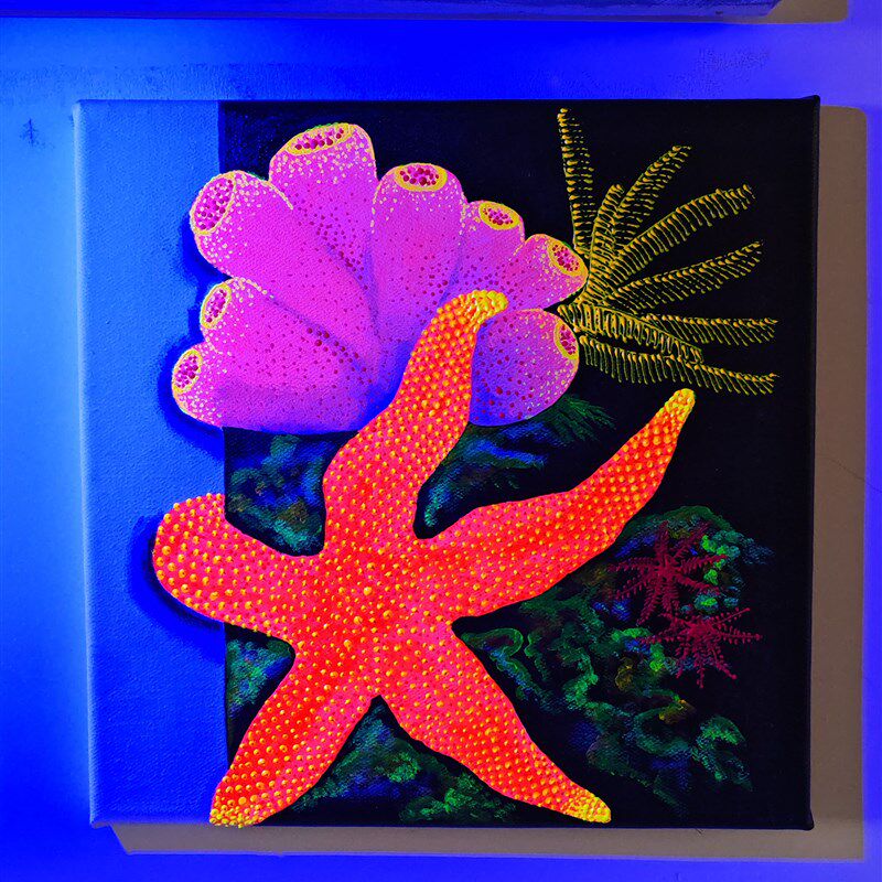 纯手绘海缸装饰荧光画海水鱼珊瑚荧光丙烯画30厘米方