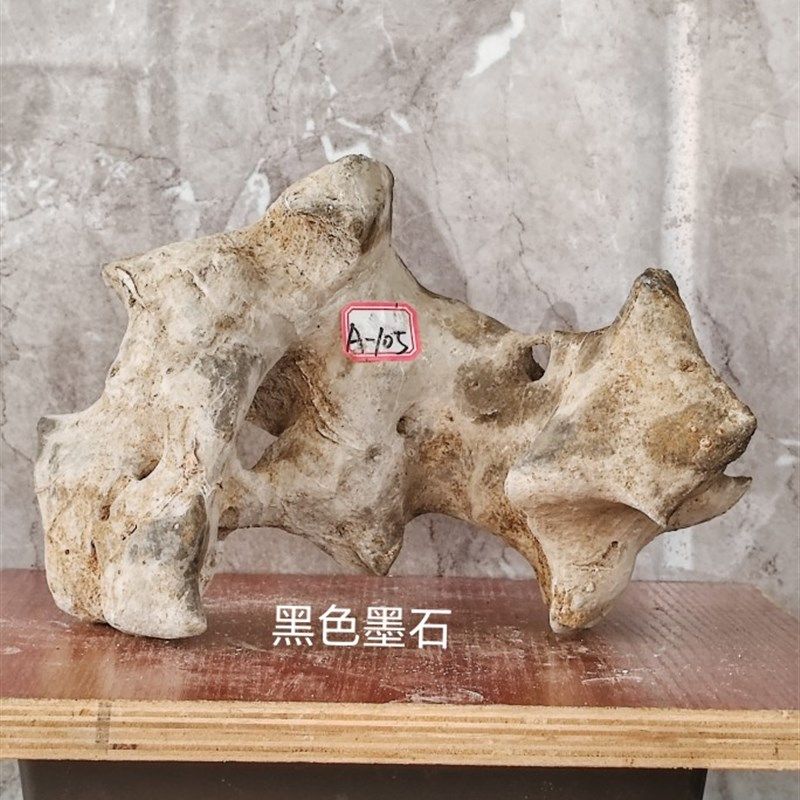 广西天然的石头,太湖石原石,鱼缸石,盆景摆件,案头摆件石