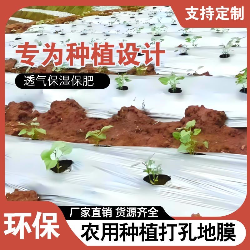 黑地膜农用打孔塑料膜种植专用银黑色除草加厚薄膜圆孔果园反光膜