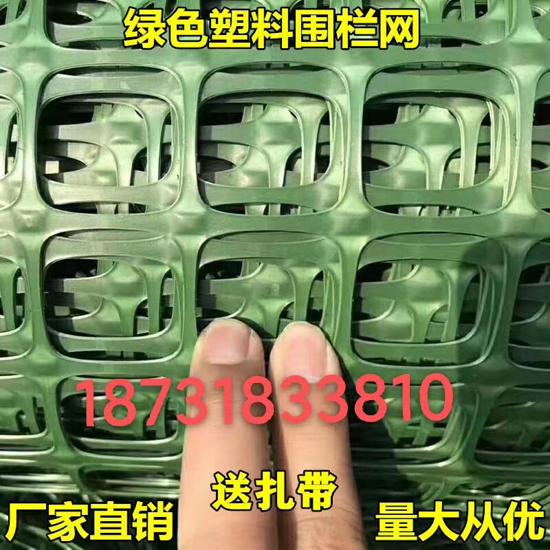 绿色塑料隔栅养殖鸡鸭鹅围栏网片鱼塘安全防护户外家用围菜园隔离