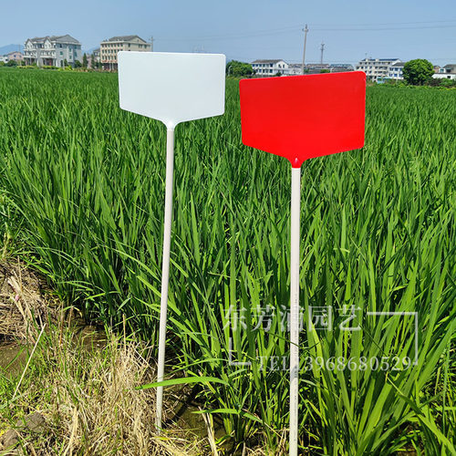 大面插地牌塑料自由组合园艺植物提示插牌农场田间试验牌花卉标签