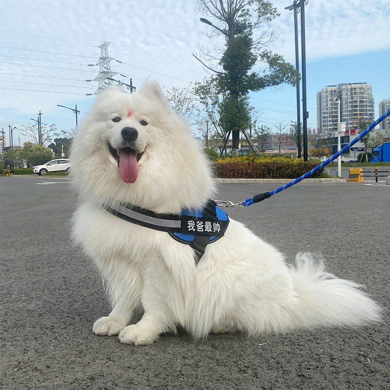 宠物狗狗中大型犬背心式牵引绳萨摩耶边牧金毛狗链绳子遛狗胸背带