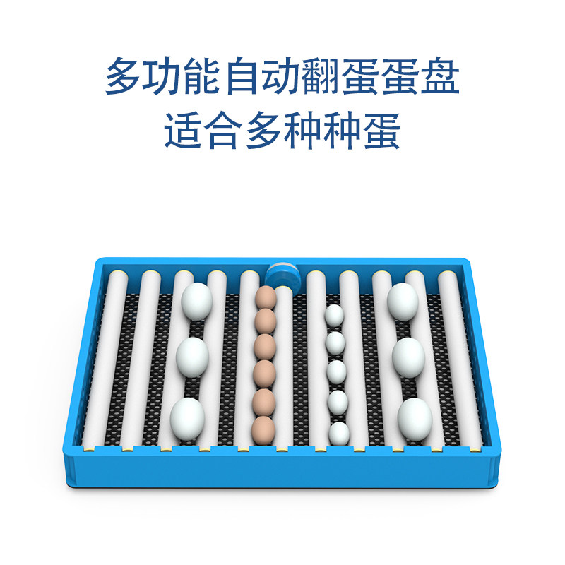 小型孵化机家用滚轴蛋盘孵化器多功能蛋盘自动翻蛋蛋盘孵化机配件