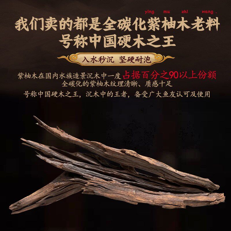 160cm-199cm大号沉木拱桥南美多枝造景枝条树桩紫柚木装饰摆件