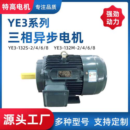 源头厂家制作多种型号运行稳定低耗电立式YE3三相异步电动机