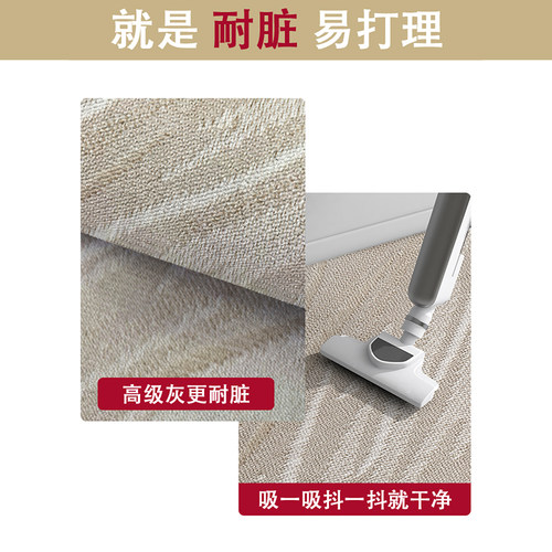 入户门地垫耐脏防滑进门口垫免洗可擦玄关家用客厅地毯高级感门垫