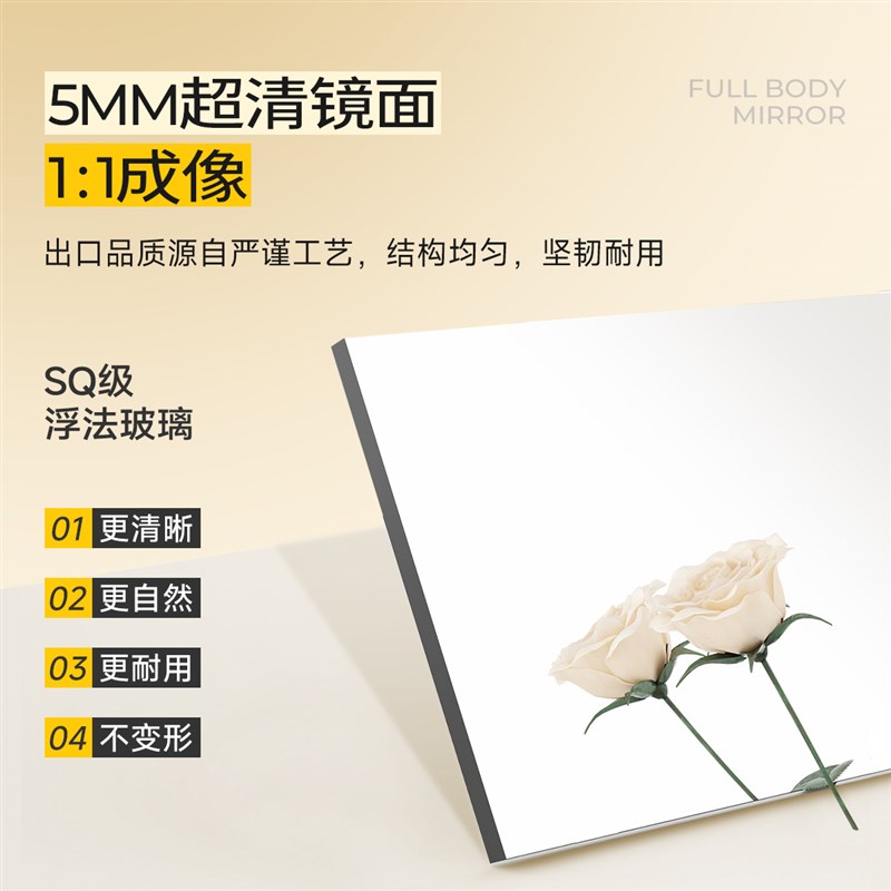 北欧风穿衣镜全身镜挂墙法式家用卧室落地镜服装店试衣镜复古镜子