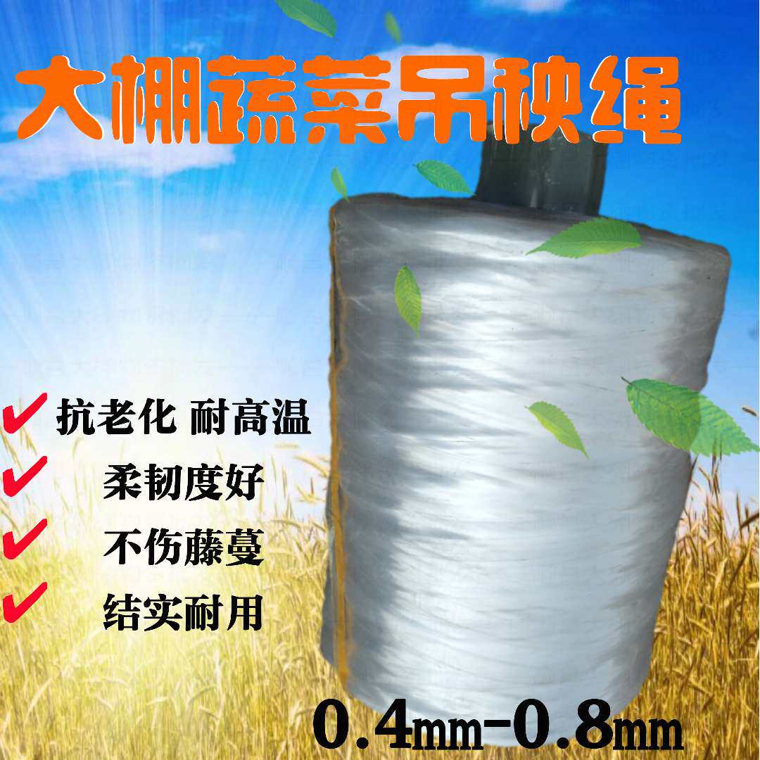 大棚蔬菜吊秧绳吊蔓绳黄瓜西红柿辣椒吊绳抗老化耐高温蔬菜塑料绳