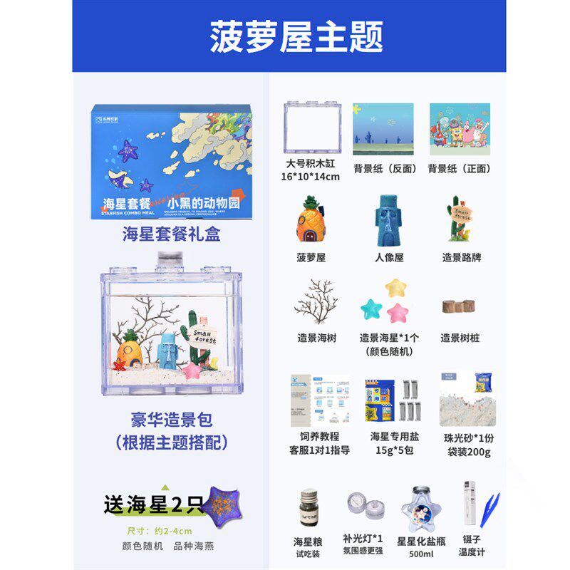 【新款海星饲养套餐】桌面宿舍海洋海燕海星小宠物儿童生日礼物盒