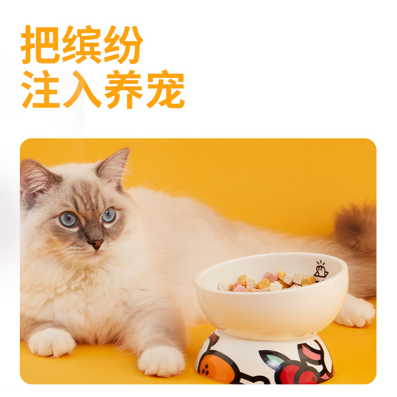 肉垫猫碗陶瓷碗开饭啦高脚猫碗陶瓷防黑下巴宠物碗保护颈椎防打翻