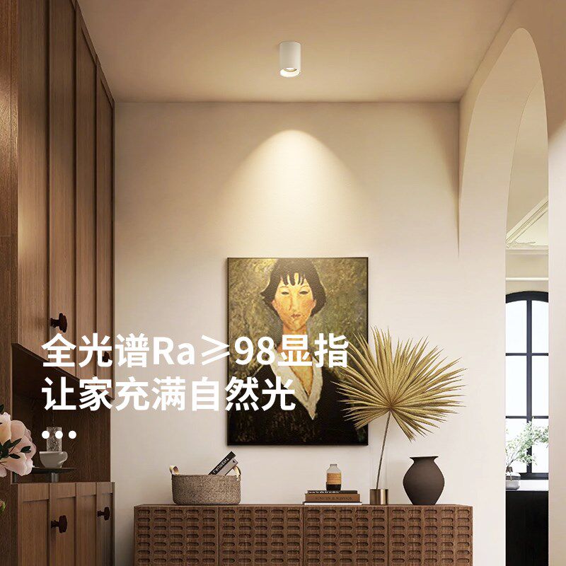 至御明装射灯led防眩光过道玄关迷你天花灯免开孔客厅无主灯M011