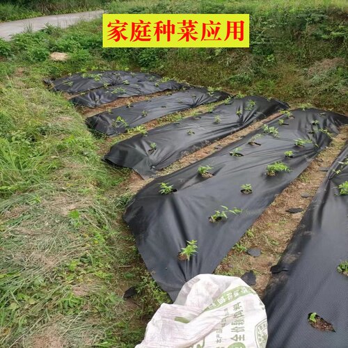 家庭菜园种菜打孔布除草保湿透水透气农用地膜绿色环保可降解地布