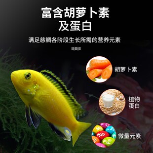 三湖慈鲷鱼饲料坦湖鱼坦鲷鱼马鲷六间鱼颗粒缓沉鱼粮小型热带鱼粮