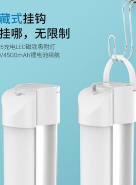 LED台灯护眼书桌学生宿舍充电插电两用寝室神器书桌长条灯管台风