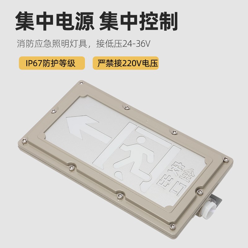 凯雷德A型集中电源集中控制消防应急防爆指示灯安全出口应急灯指