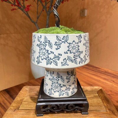 青花迎客松真柏造型树文人盆栽办公室中式桌面室内高档绿植松柏