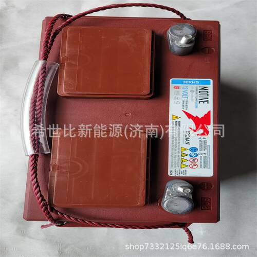 美国邱健 蓄电池30XHS高尔夫球车12V130AH升降机举臂机叉车