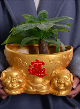 欧式复古多肉植物花盆发财树榕树陶瓷花器绿植盆吉祥招财小猪花盆