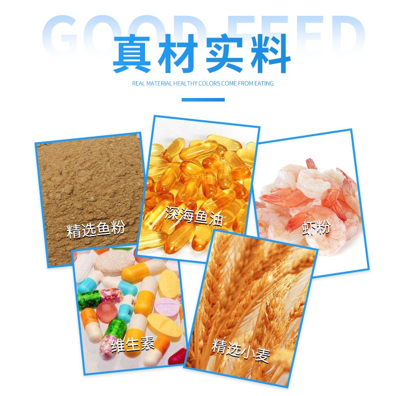 锦鲤饲料大型鱼经济粮通用鱼粮观赏鱼饲料颗粒型增色主食大包装