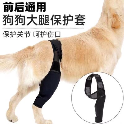 宠物关节炎护腿套护膝固定恢复绑带狗狗腿部支架保护套护膝盖护具