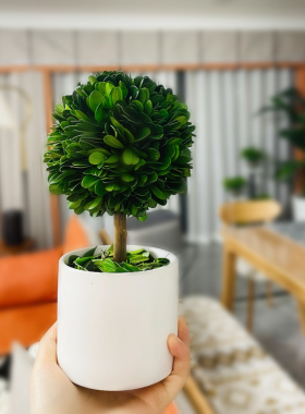 办公室工位桌面绿植上班情绪稳定神器客厅玄关植物小摆件家居装饰