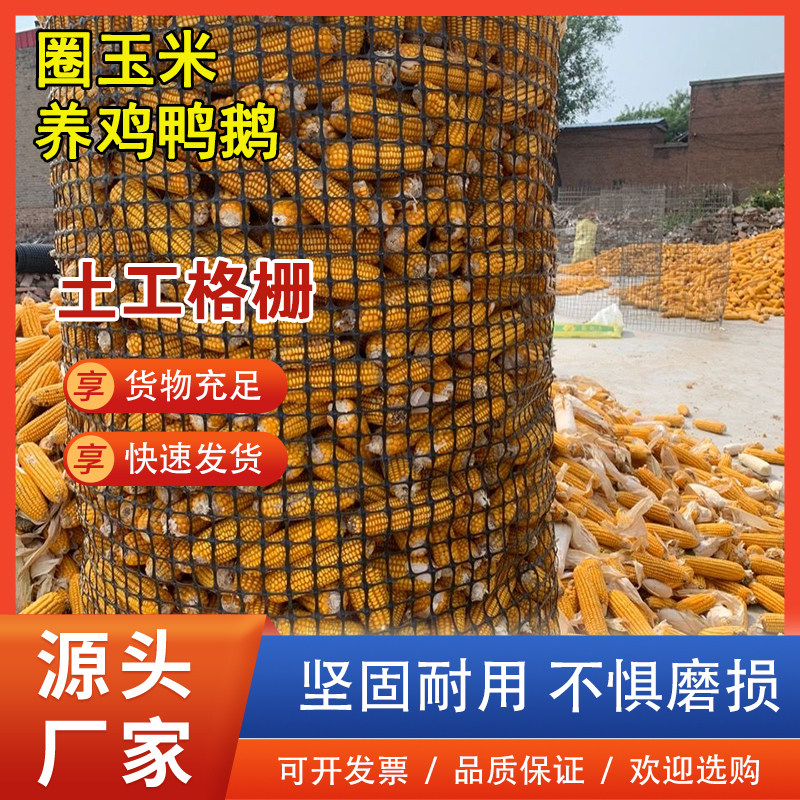 围栏网养殖养鸡拦家禽圈玉米网格栅果园菜园栅栏户外鱼塘塑料网格