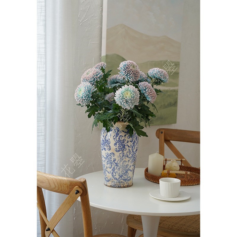 花曌 青花瓷牡丹菊【鲜花】【真花】【吸色】【家居插花水养】