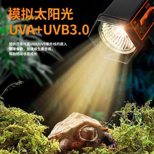 酷爬乌龟晒背灯架补钙灯uvb爬宠加热取暖加温龟缸专用uva太阳灯泡