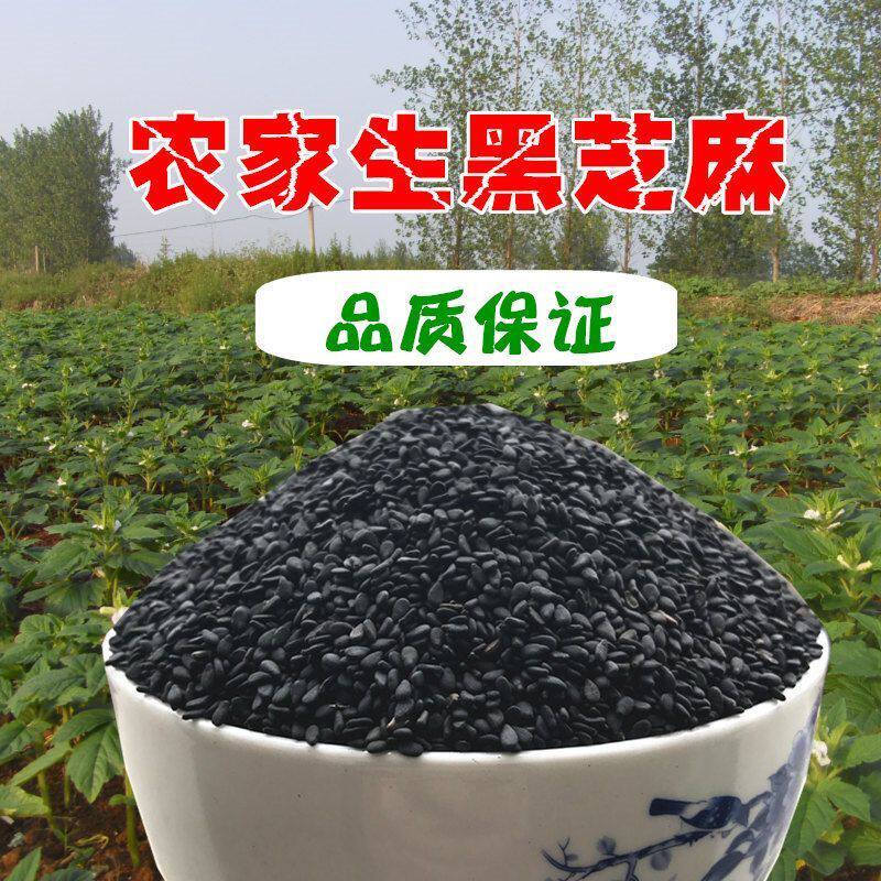 正宗黑芝麻精选黑芝麻生油麻26年带皮新货天然无染色农家无沙
