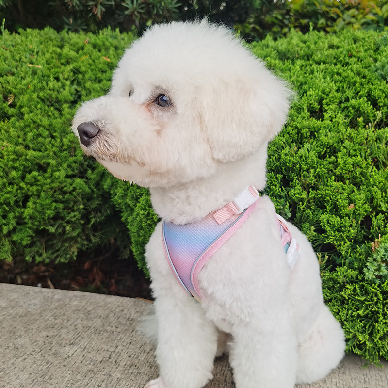 背心式宠物胸背带猫咪牵引绳遛猫神器小型犬可调节胸背狗狗牵引绳